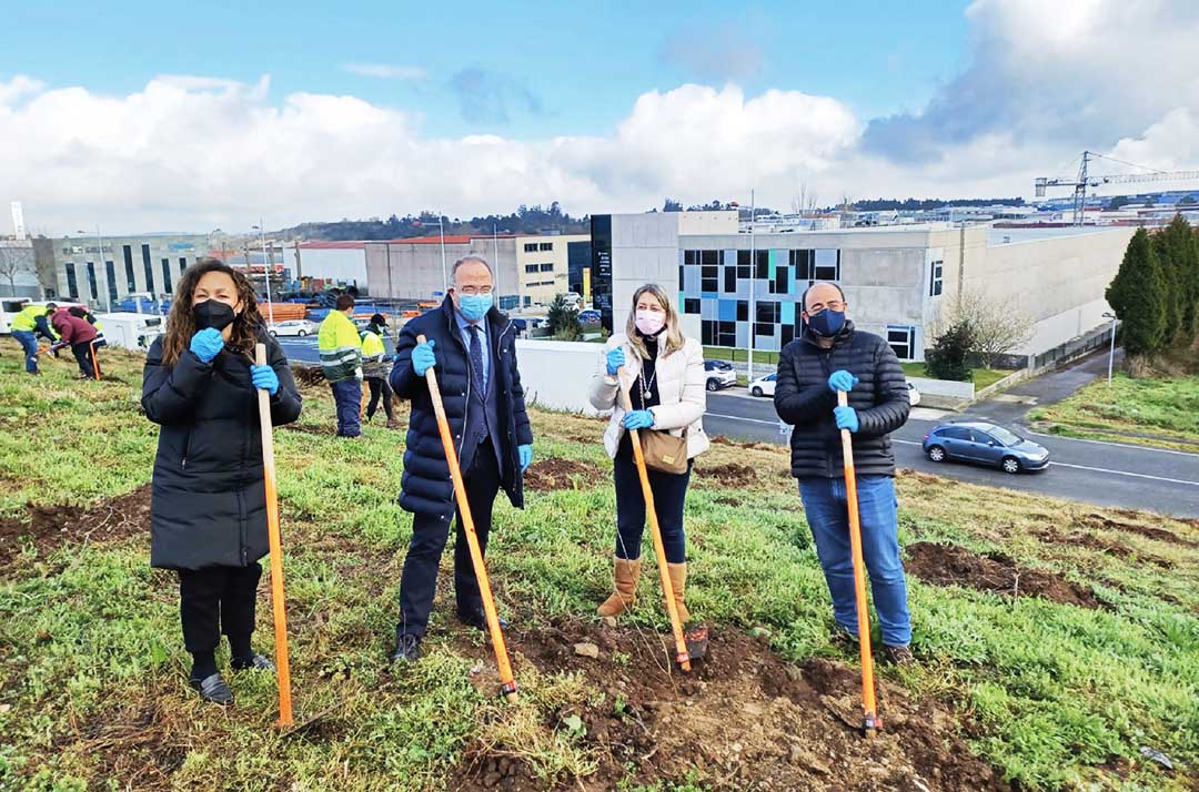 Ir a la noticia La plantilla de Viaqua se compromete con el Carballo de Conxo y planta más de 300 robles en Santiago de Compostela