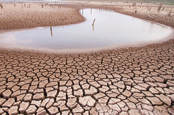 Ir a la noticia Alianzas y compromisos frente al cambio climático, claves para asegurar un futuro sostenible
