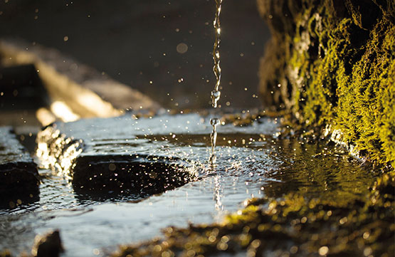 Ir a la noticia Aguas subterráneas, la llave invisible frente al cambio climático